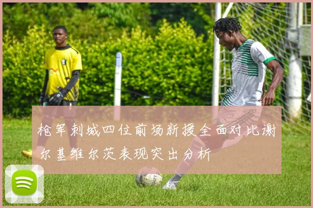 枪军刺城四位前场新援全面对比谢尔基维尔茨表现突出分析