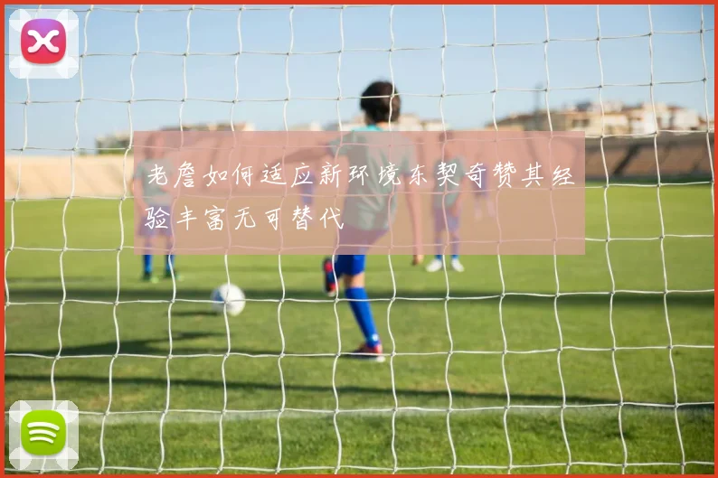 老詹如何适应新环境东契奇赞其经验丰富无可替代