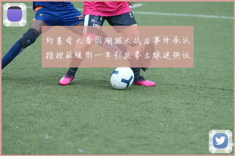 约基奇大哥因湖掘大战后事件承认指控获缓刑一年引发拳击球迷热议