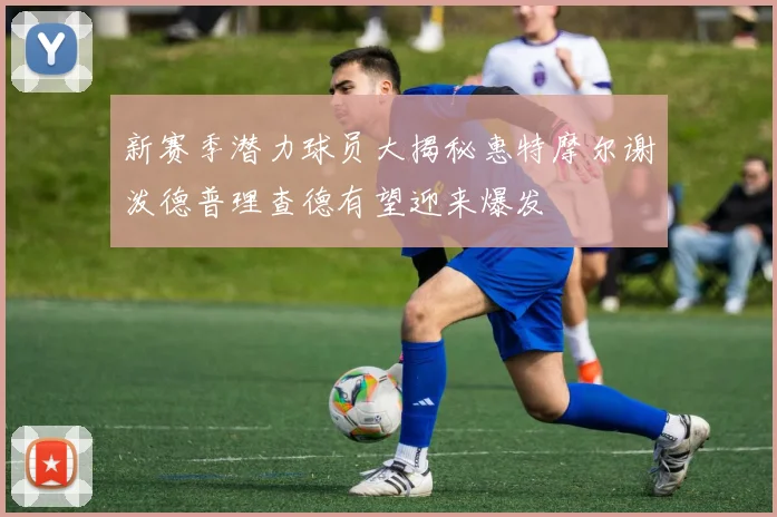 新赛季潜力球员大揭秘惠特摩尔谢泼德普理查德有望迎来爆发