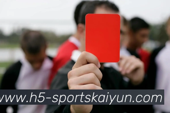 开云体育服务体系